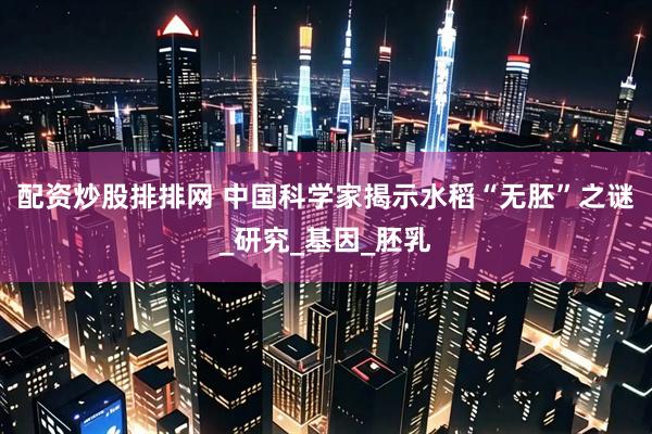 配资炒股排排网 中国科学家揭示水稻“无胚”之谜_研究_基因_胚乳